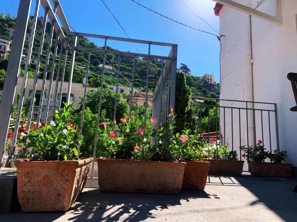 L'Albero Della Vita Minori Dış mekan fotoğraf